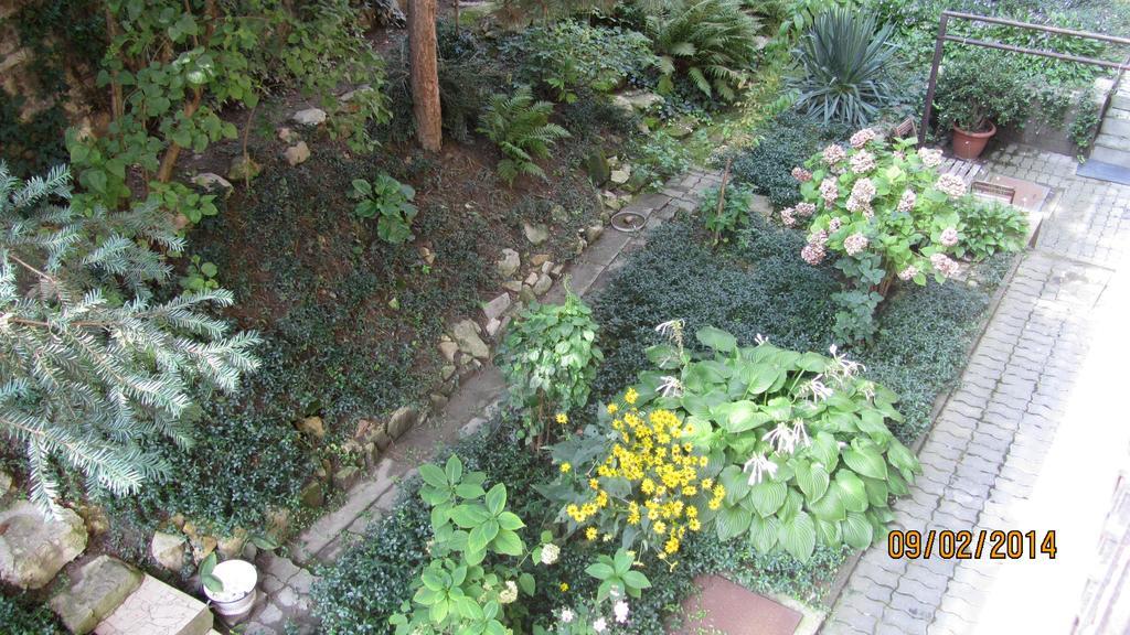 Judy And Sandor Apartmen Budapest Phòng bức ảnh